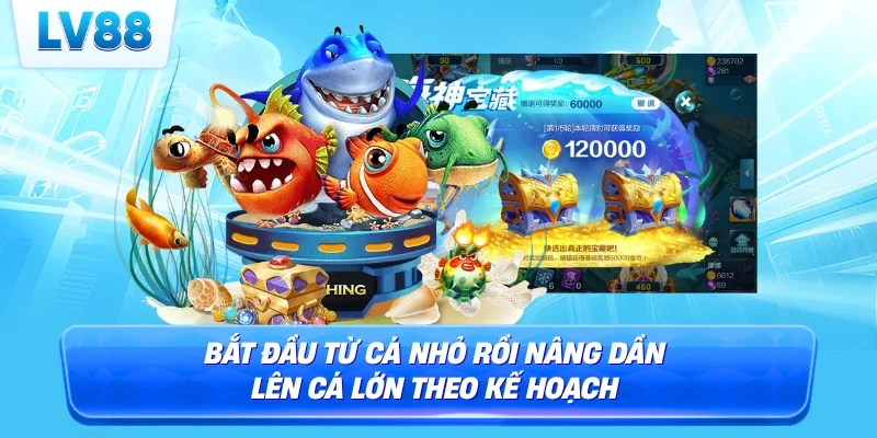 Bắt đầu từ cá nhỏ rồi nâng dần lên cá lớn theo kế hoạch