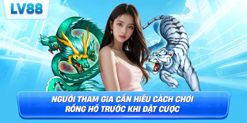 Người tham gia cần hiểu cách chơi Rồng Hổ trước khi đặt cược