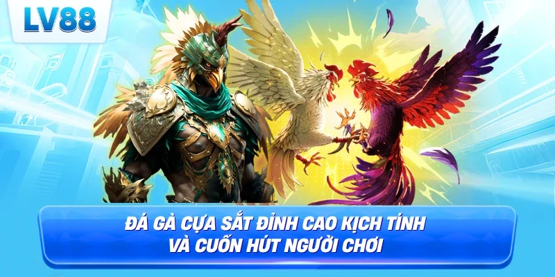 đá gà cựa sắt