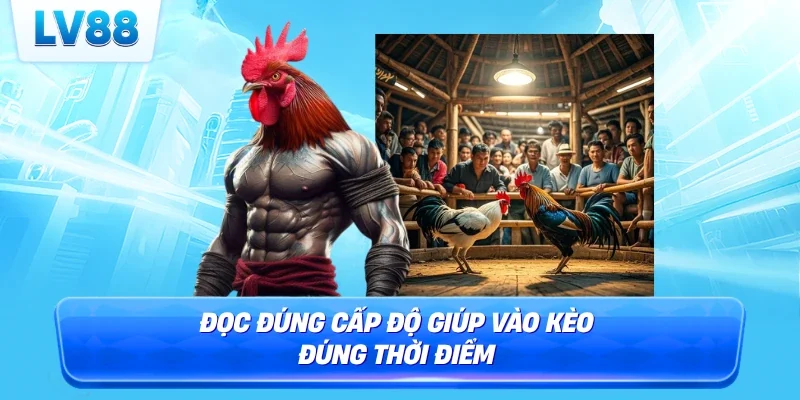 Đọc đúng cấp độ giúp vào kèo đúng thời điểm 