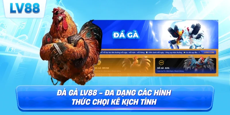 Đá gà LV88 cựa dao gay cấn, kịch tính