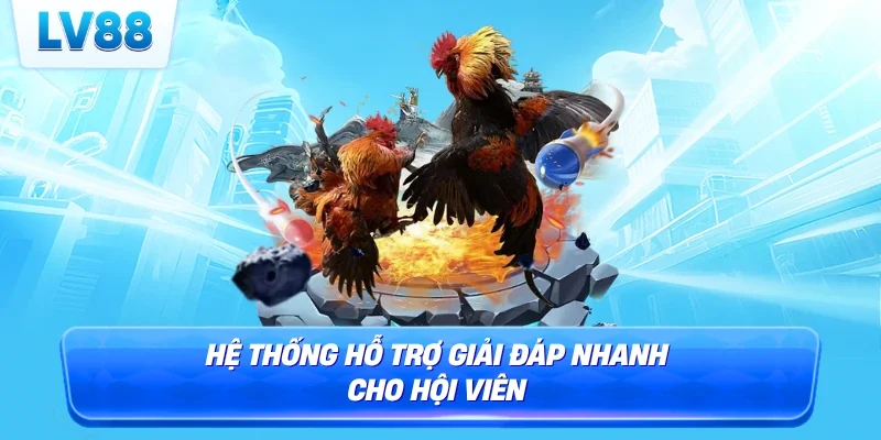 Hệ thống hỗ trợ giải đáp nhanh cho hội viên