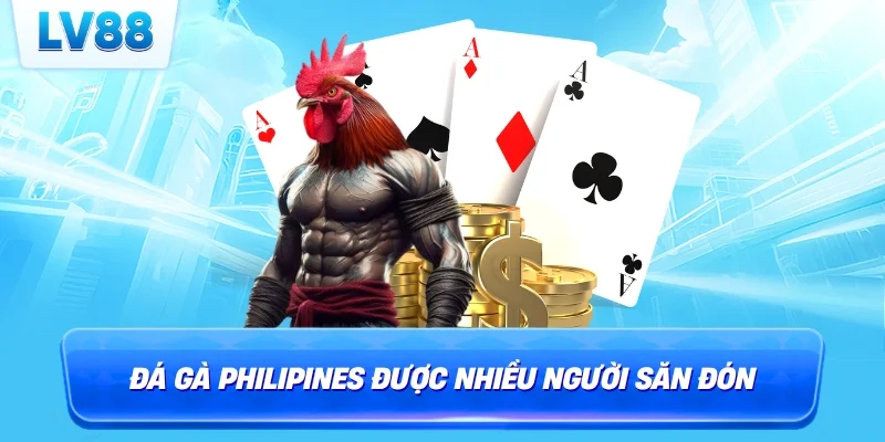 Đá gà Philipines được nhiều người săn đón