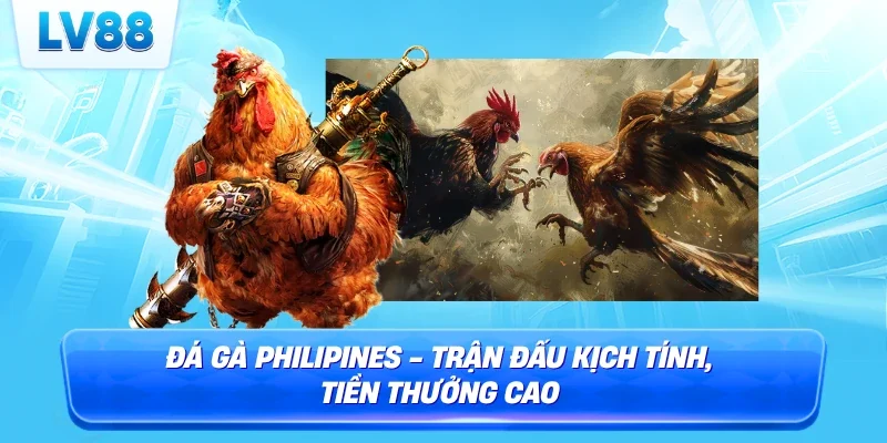 đá gà philipines